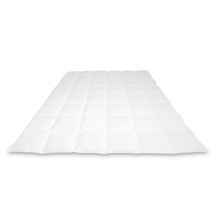 Cassenz Cassenz dekbed Rembrandt zomer