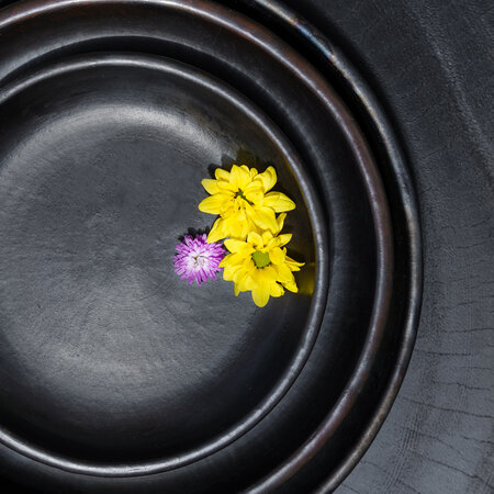 The Burned Collection