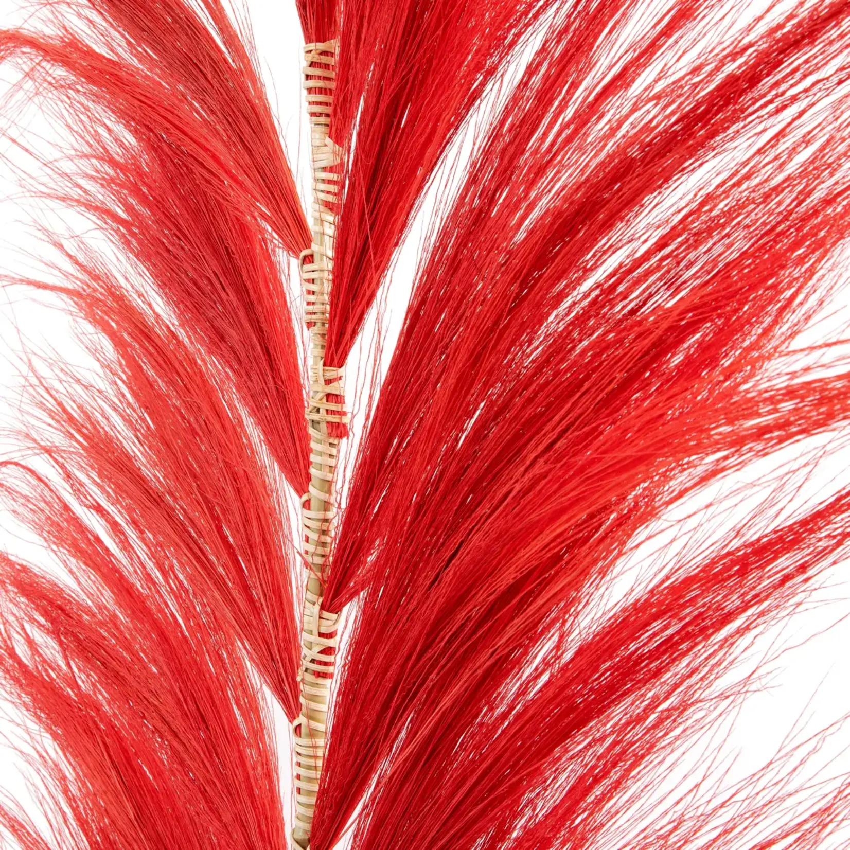 Bazar Bizar The Stunning Leaf - Rosso Vibrante - Set di 6