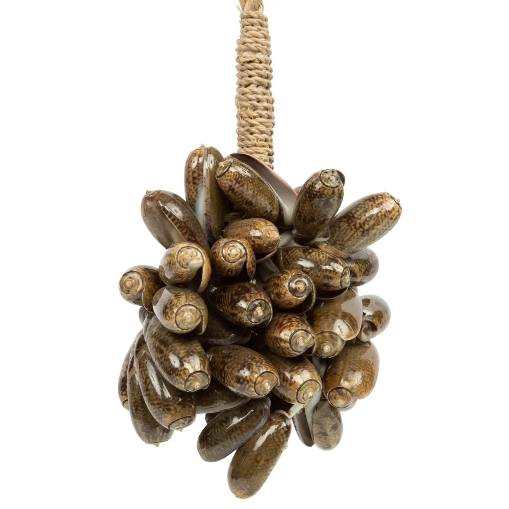 Bazar Bizar De Brown Cowrie Shell Hangdecoratie