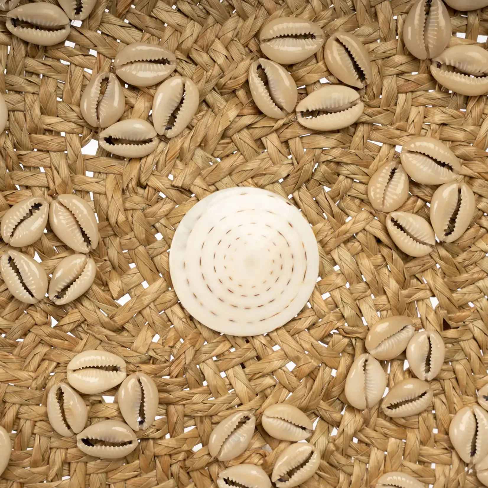 Bazar Bizar Il Piatto Caribe Shell - Naturale Bianco - M