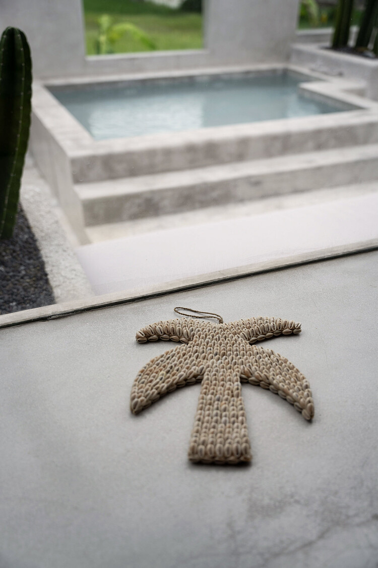 Bazar Bizar Le Palmier En Coquillages - Naturel