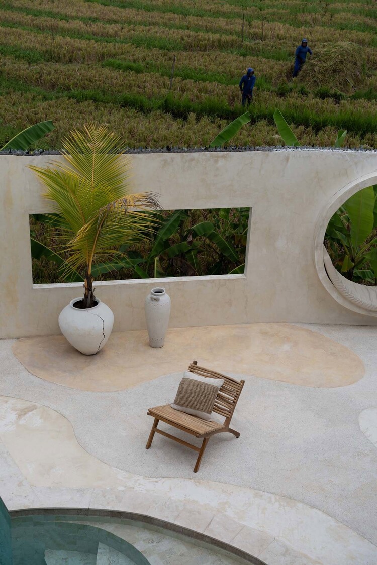 Bazar Bizar L’Islander - Naturel