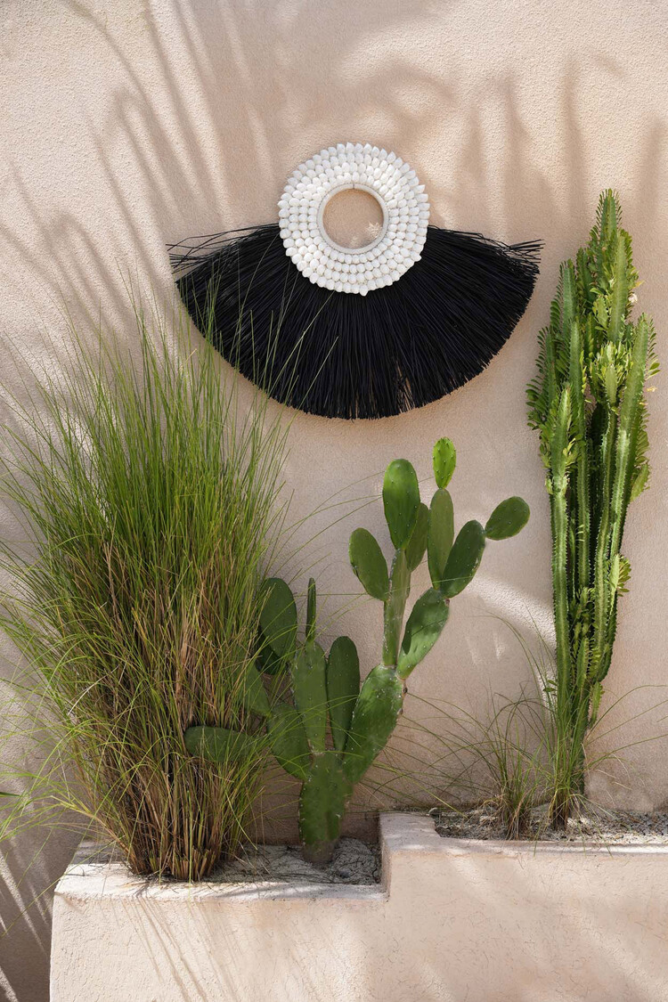 Bazar Bizar Die Shell Alang Alang - Schwarz