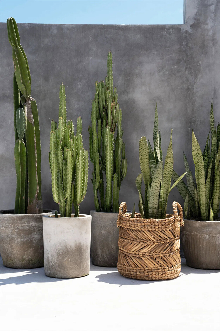 Bazar Bizar The Banana Zigzag Basket - L