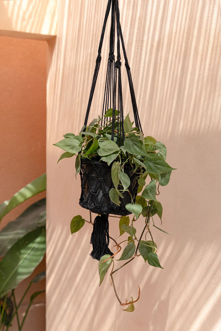 Bazar Bizar Le Porte-Plante En Macramé - Noir - M