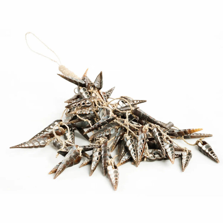 Bazar Bizar La Nappa Con Conchiglia Di Unicorno - Marrone