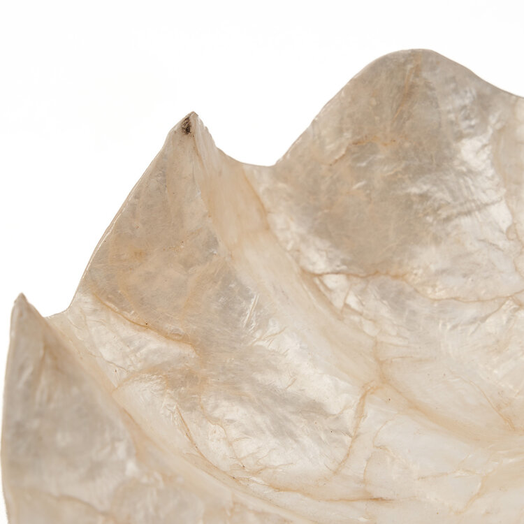 Bazar Bizar Die Mother of Pearl Seifenschale - Weiß - S