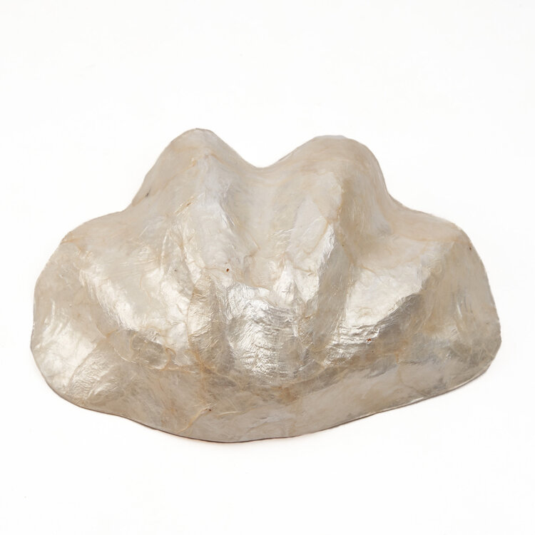 Bazar Bizar The Mother of Pearl Soap Dish - White - S