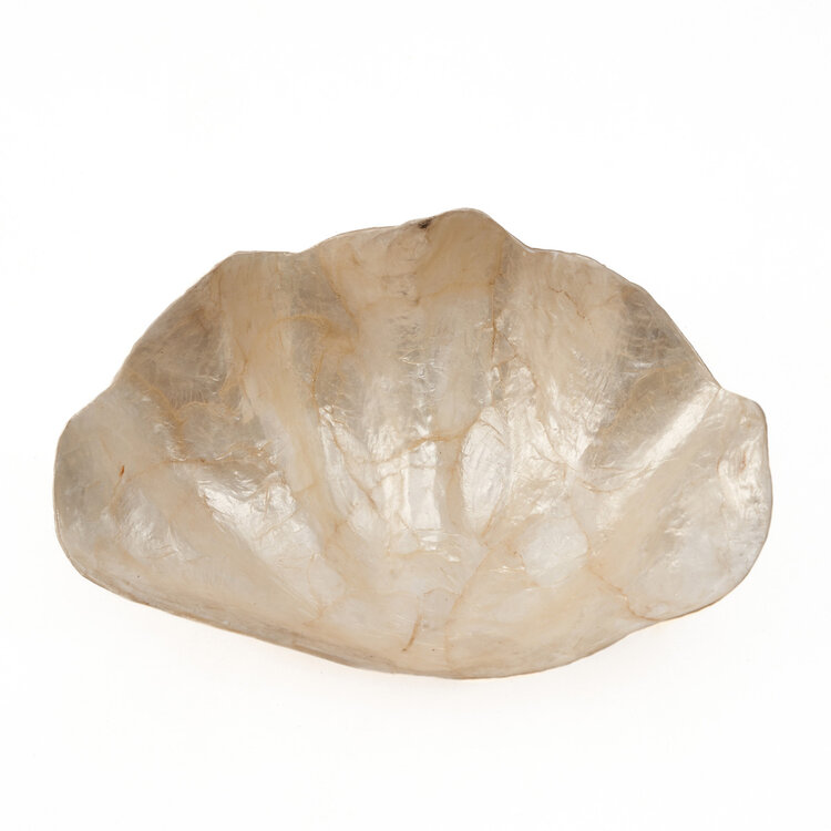 Bazar Bizar Le Porte-Savon Mother of Pearl - Blanc - S