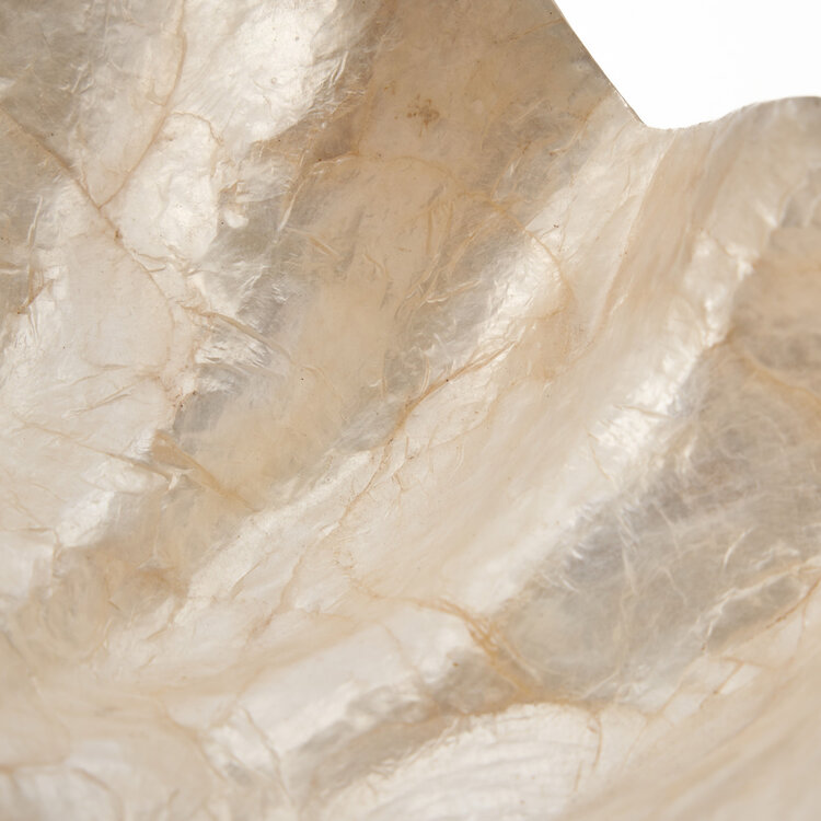 Bazar Bizar Il Portasapone Mother of Pearl - Bianco - S