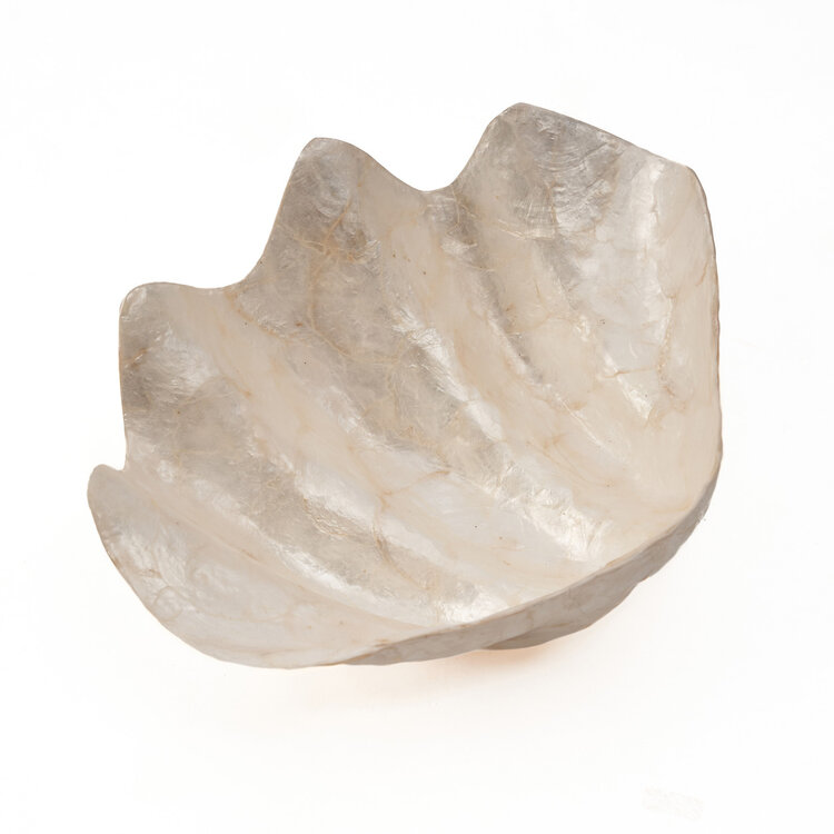 Bazar Bizar Le Porte-Savon Mother of Pearl - Blanc - M