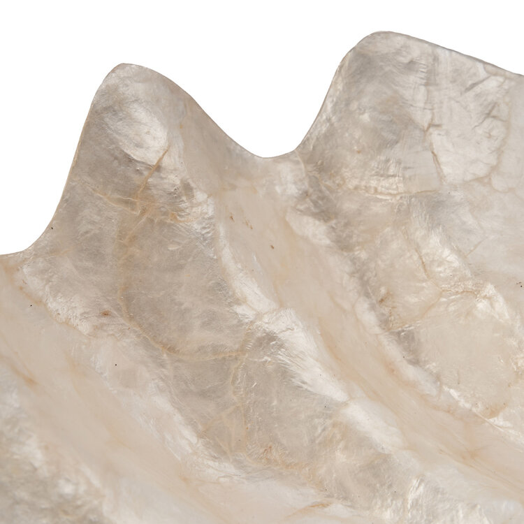 Bazar Bizar The Mother of Pearl Soap Dish - White - M