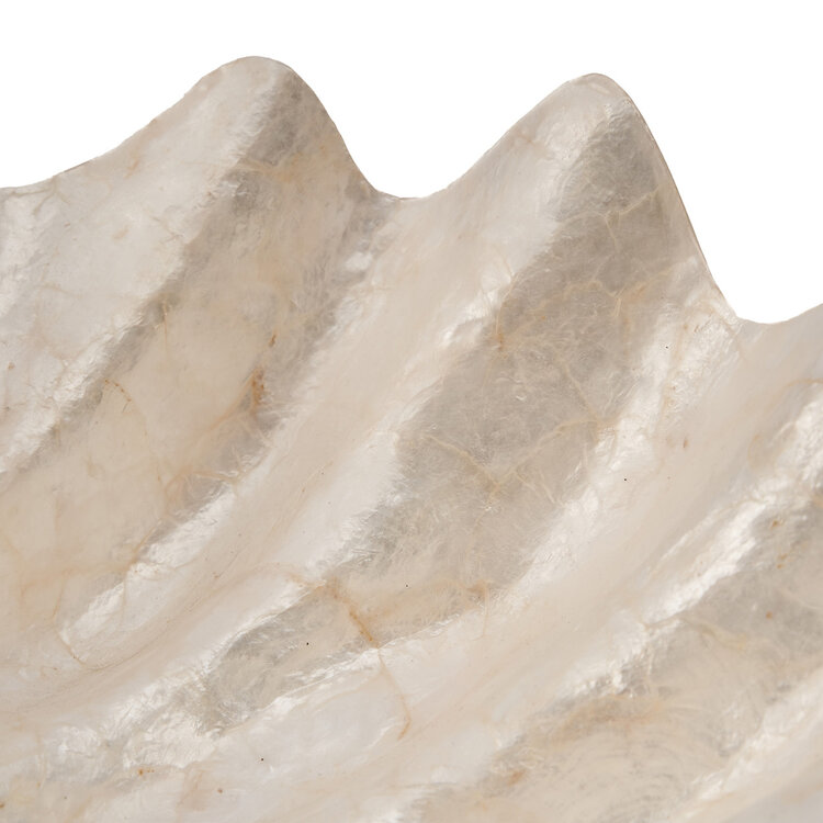 Bazar Bizar Il Portasapone Mother of Pearl - Bianco - M