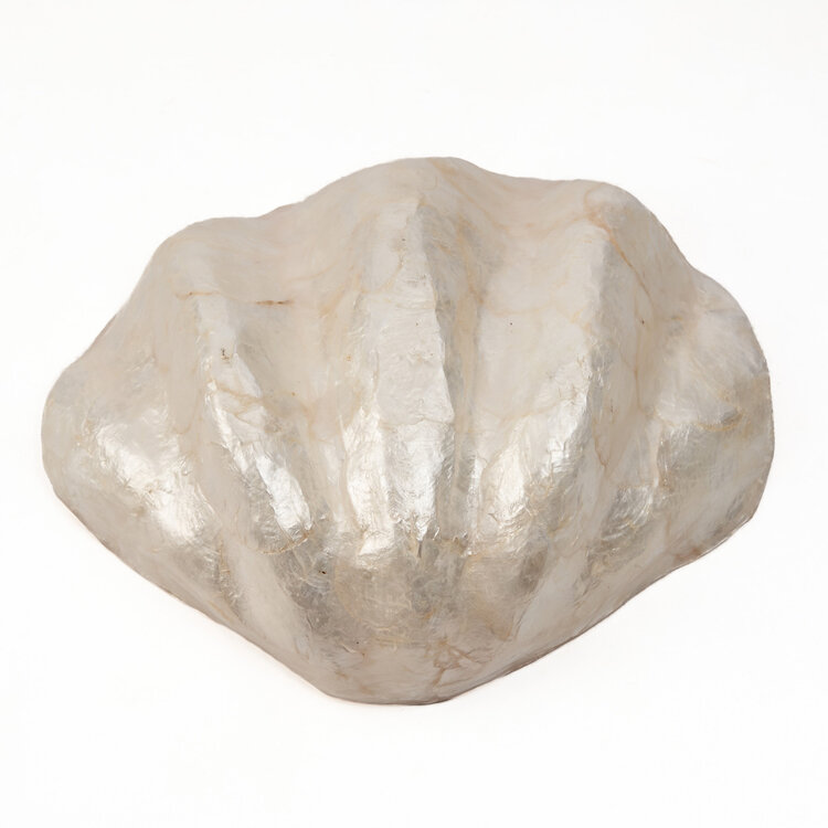 Bazar Bizar The Mother of Pearl Soap Dish - White - M