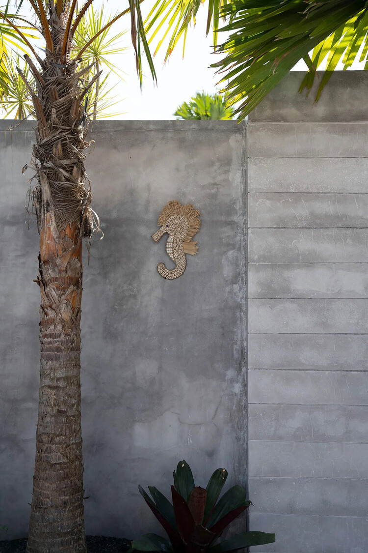 Bazar Bizar Die Shell Seepferdchen - Weiss