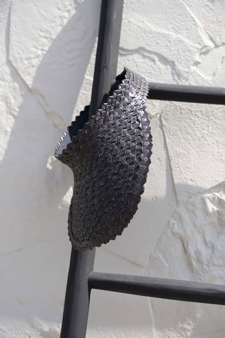 Bazar Bizar De Sunshade Pet - Zwart