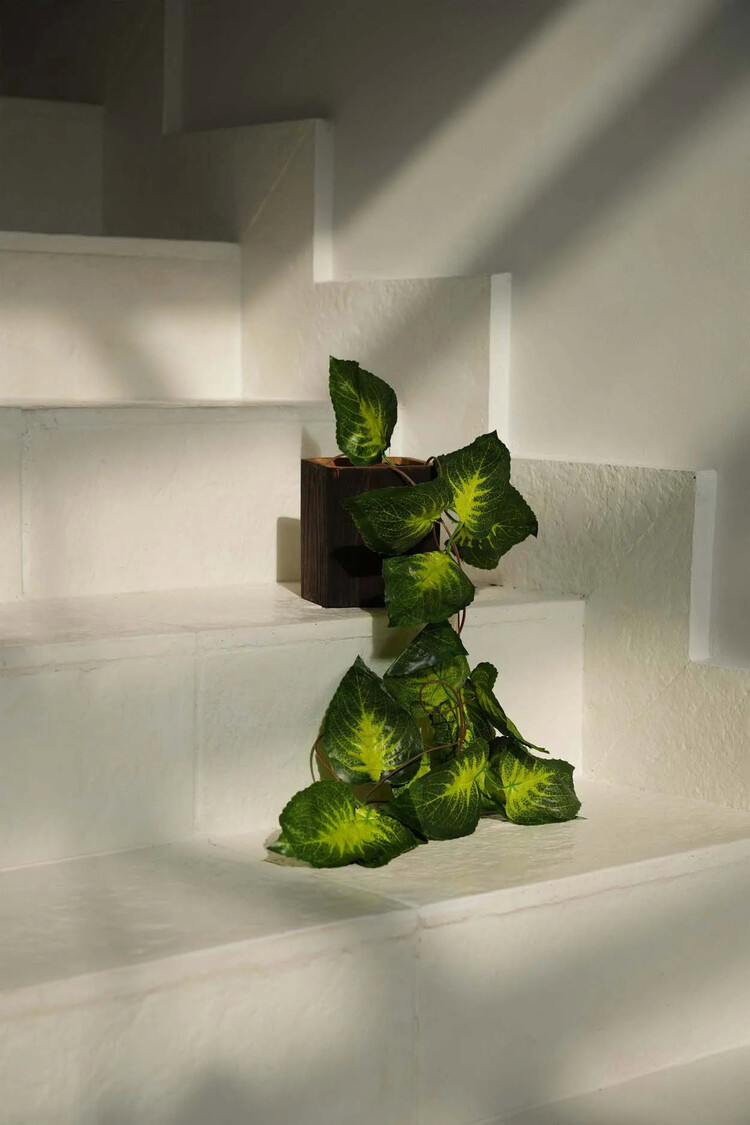 Bazar Bizar Der Bondi Halter #2 - Quadratisch