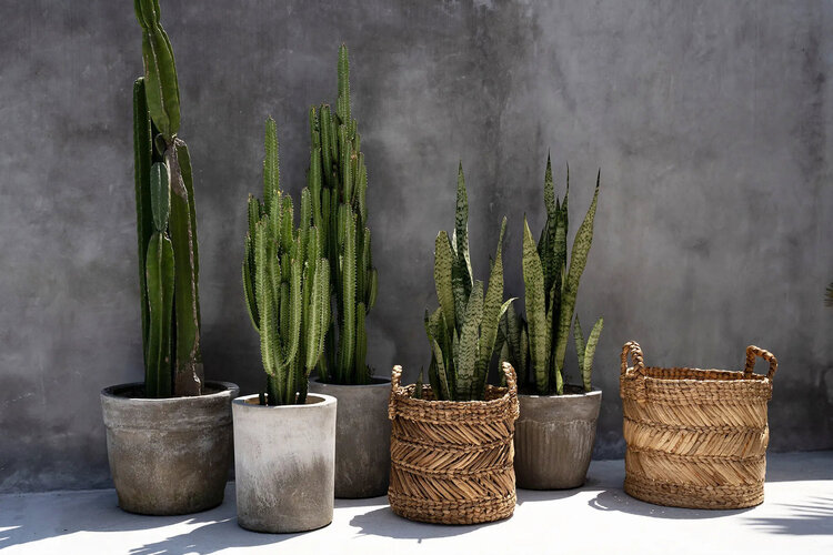 Bazar Bizar The Banana Zigzag Basket - M