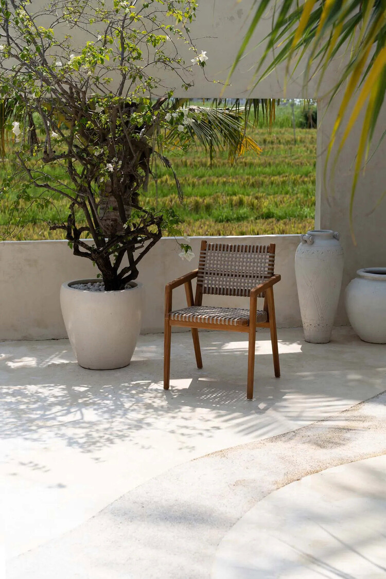 Bazar Bizar The Trikeri Dining Chair