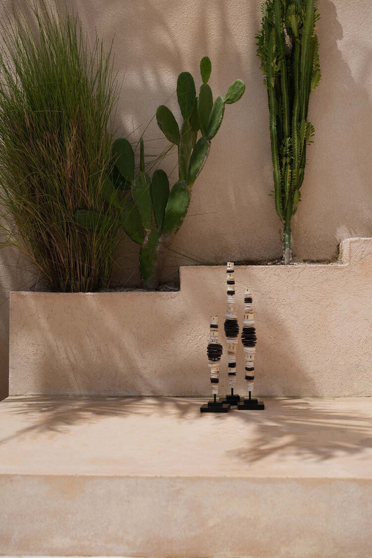 Bazar Bizar La Conchiglia di Denaro su Stand - Bianco Nero - L