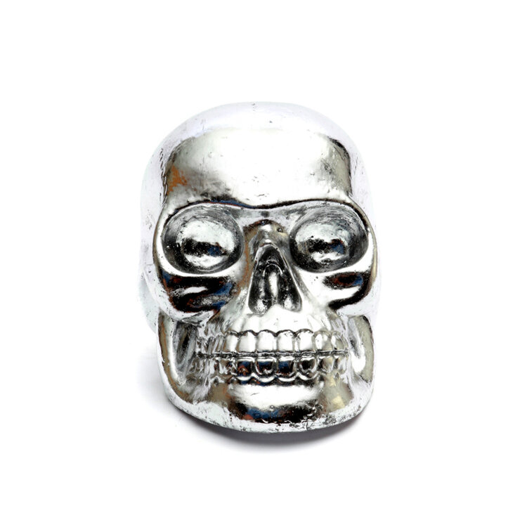 Bazar Bizar Le Resin Skull Head Crâne Silver M