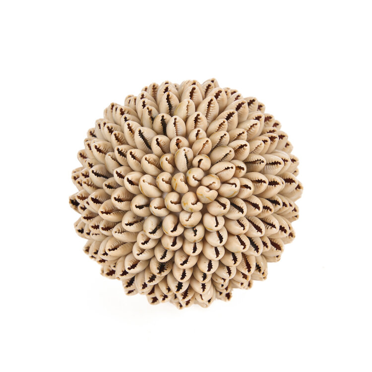 Bazar Bizar The Oluolu Shell Ball - M