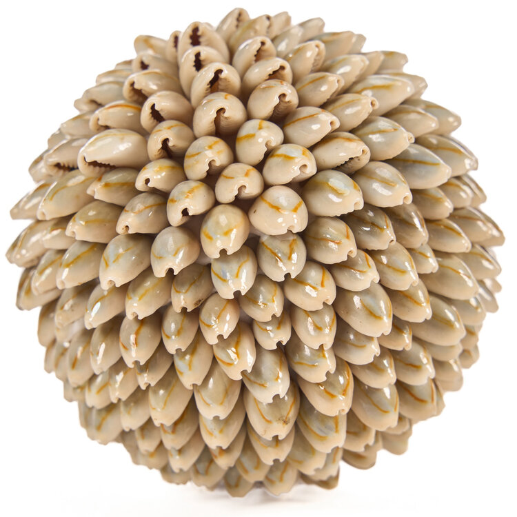 Bazar Bizar De Oluolu Shell Bal - M