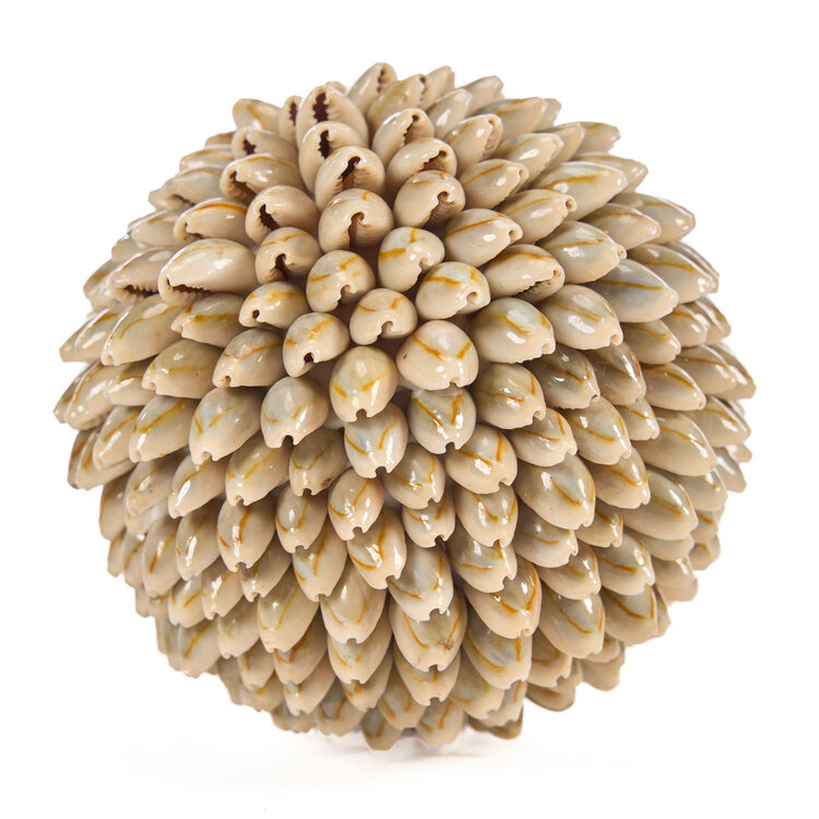 Bazar Bizar De Oluolu Shell Bal - M