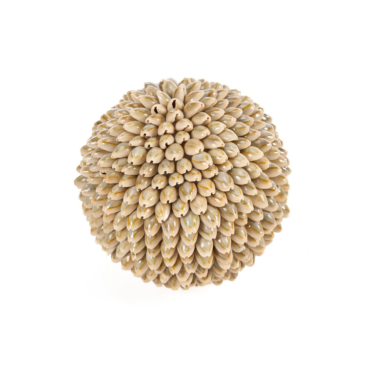 Bazar Bizar De Oluolu Shell Bal - L