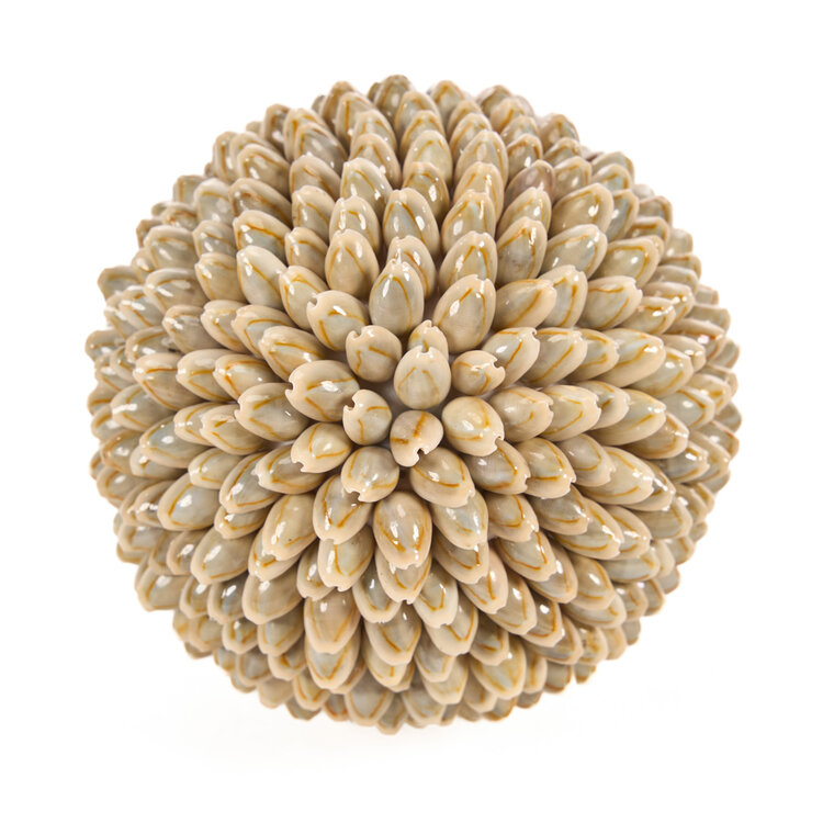 Bazar Bizar Die Oluolu Shell Kugel - L