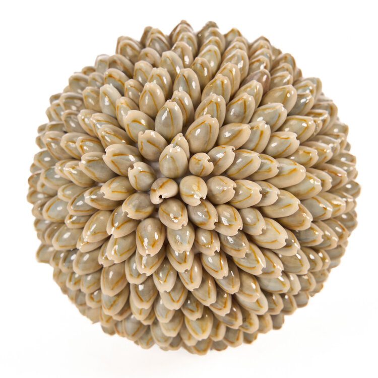 Bazar Bizar The Oluolu Shell Ball - L