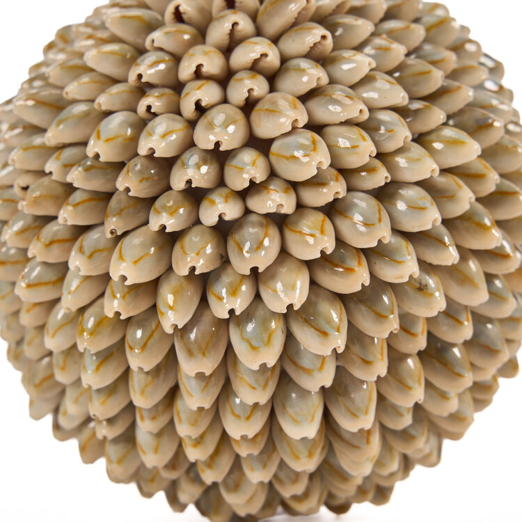 Bazar Bizar The Oluolu Shell Ball - L