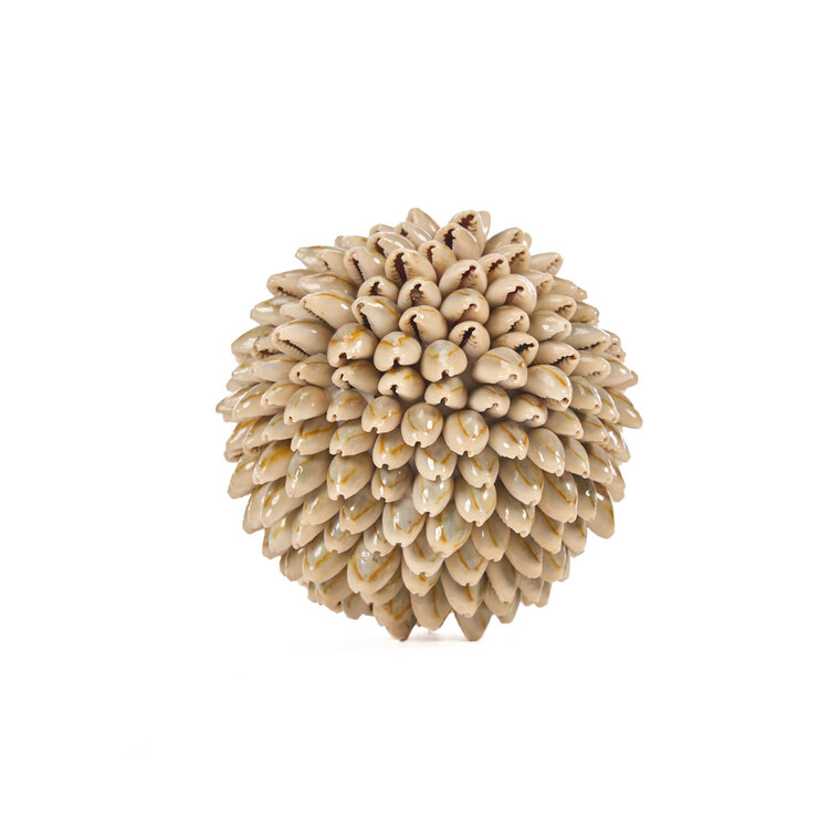 Bazar Bizar La Oluolu Shell Balle - S