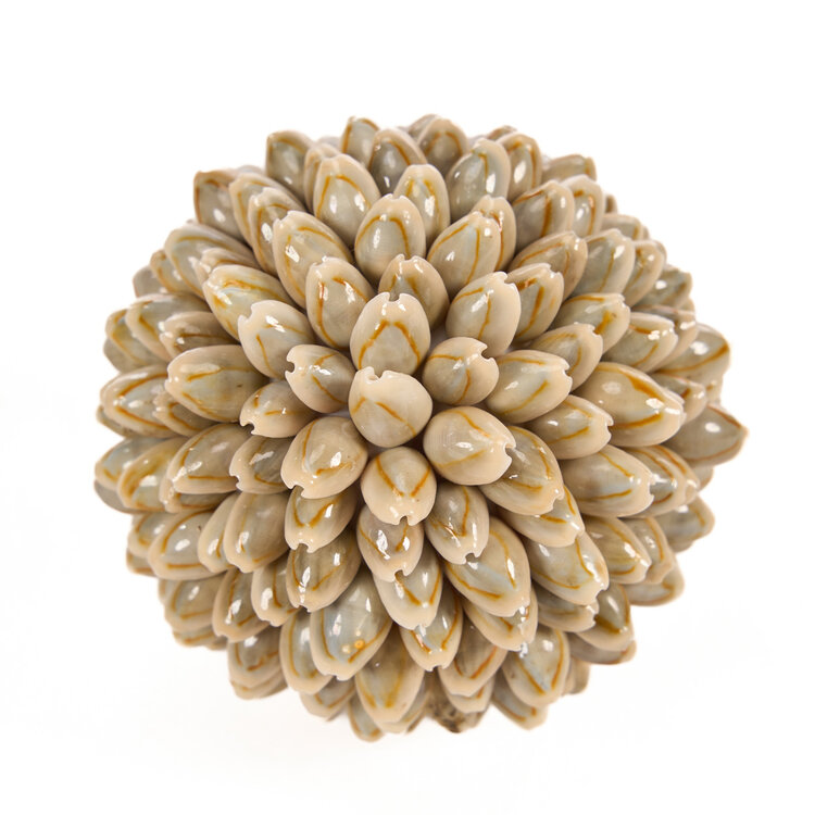 Bazar Bizar The Oluolu Shell Ball - S