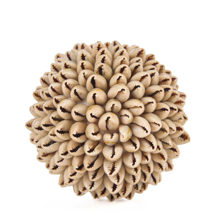 Bazar Bizar The Oluolu Shell Ball - S