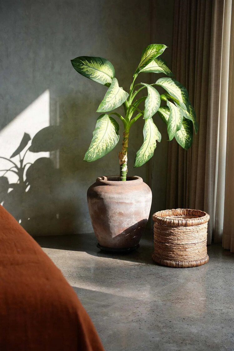 Bazar Bizar De Chuka Mand