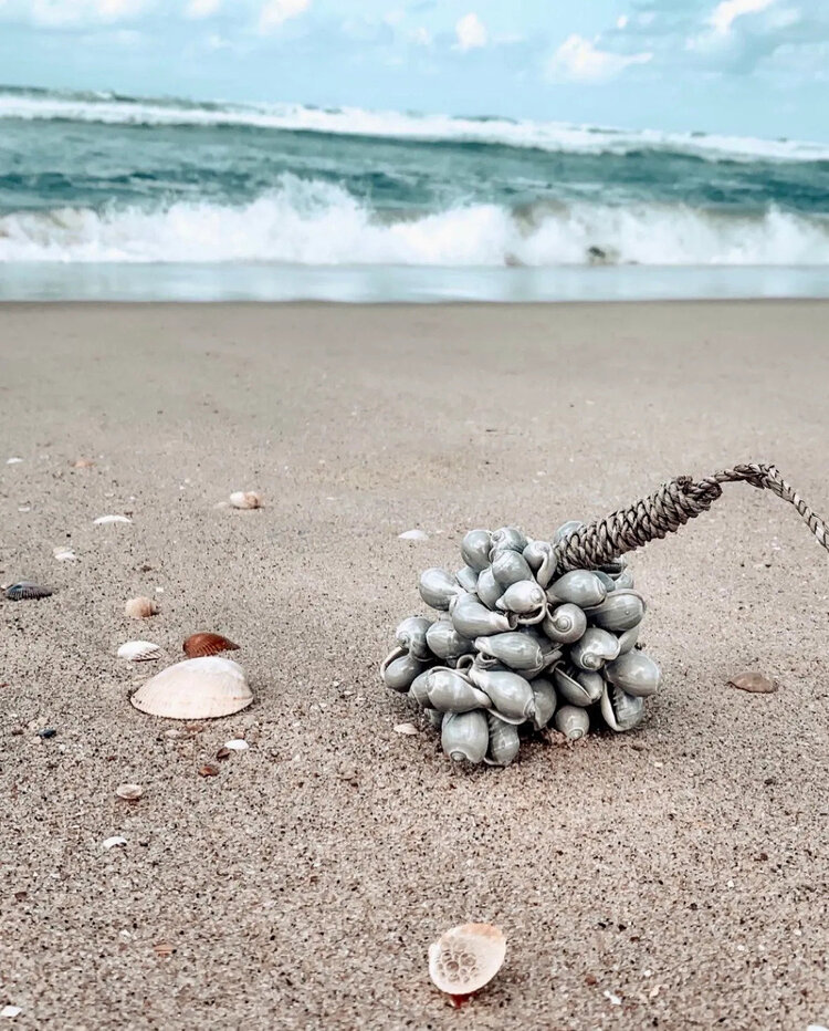 Bazar Bizar Die Graue Muschelquaste