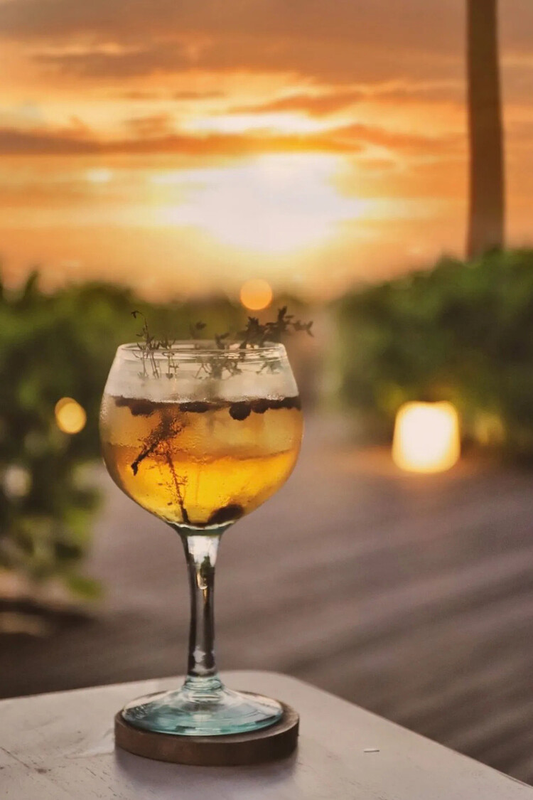 Bazar Bizar Le Sous-Verre Boho En Racine De Teck