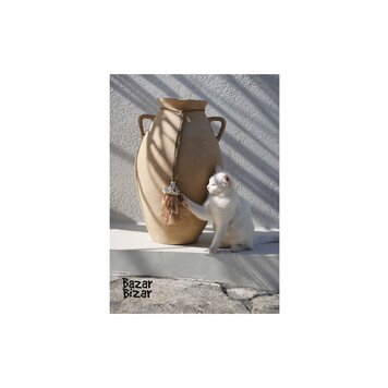 Bazar Bizar Catalogue - 2025