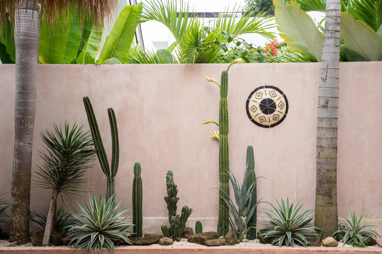 Bazar Bizar Der Cozumel Teller – Klein