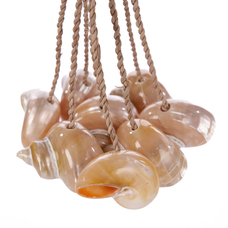 Le Gland En Coquillages Conque - Naturel