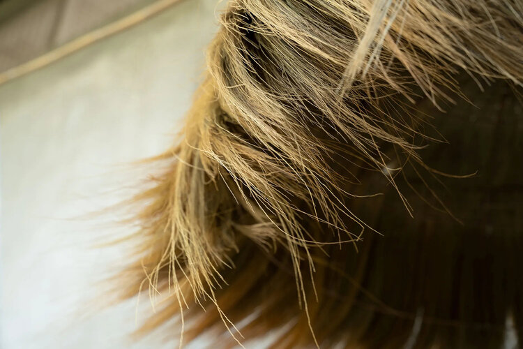 Bazar Bizar The Makiki Pendant - Natural - XL