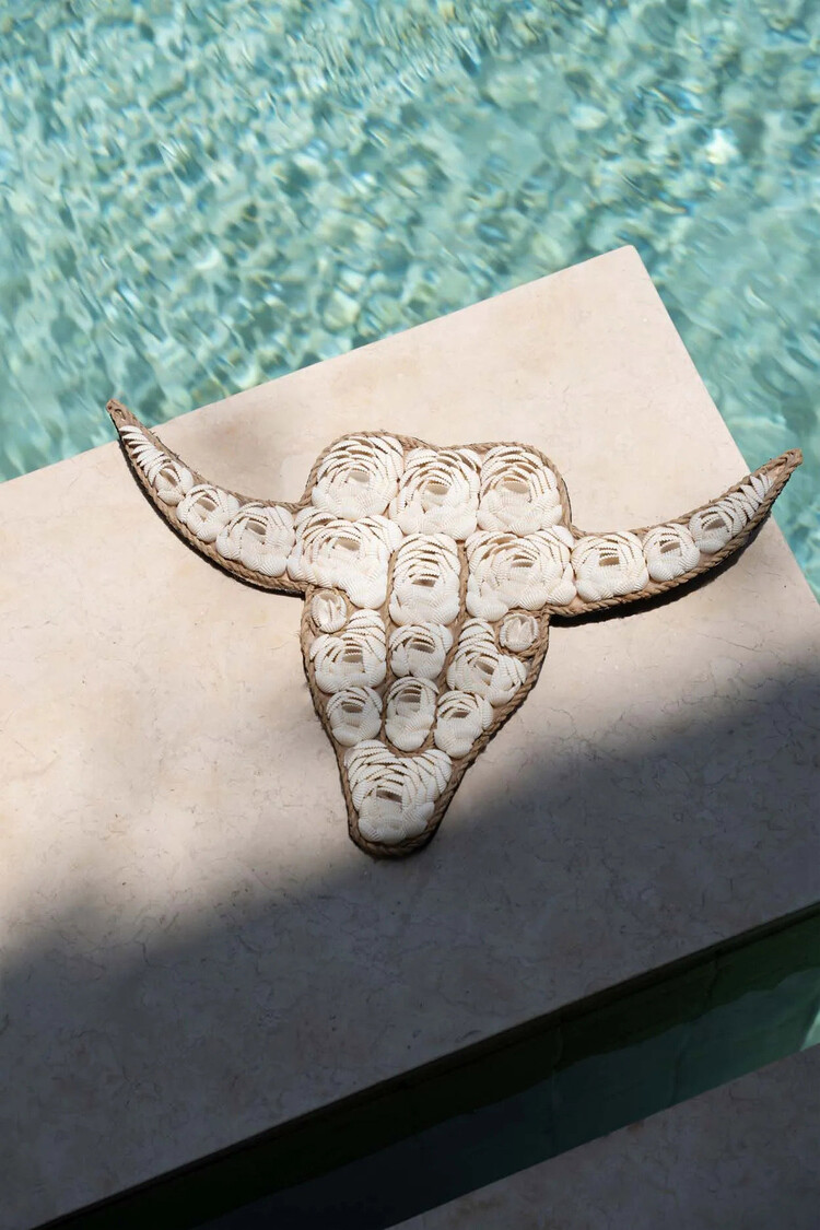 Bazar Bizar De Bull Shell - Wit