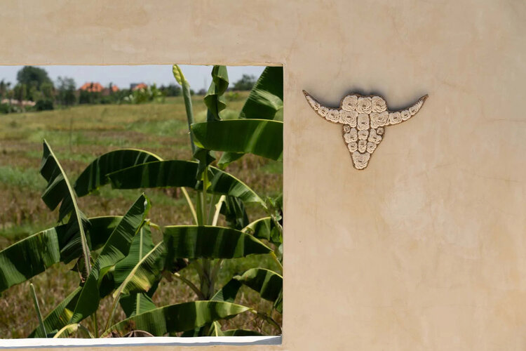 Bazar Bizar El Toro de Concha - Blanco