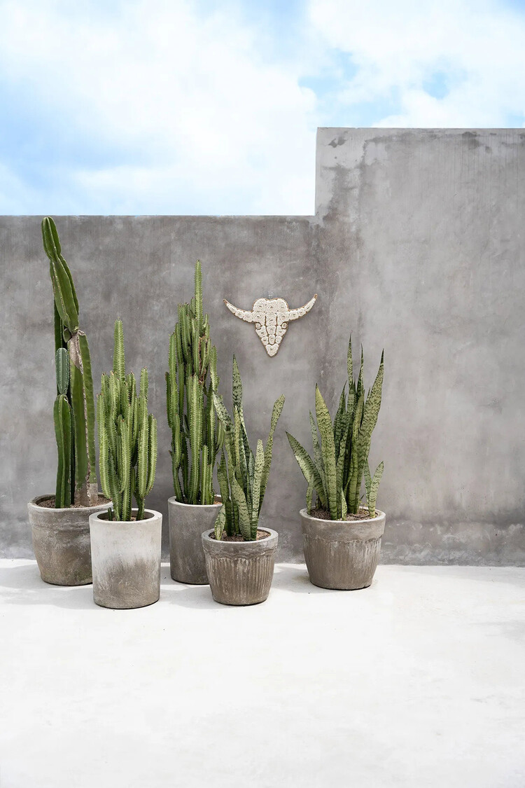 Bazar Bizar El Toro de Concha - Blanco