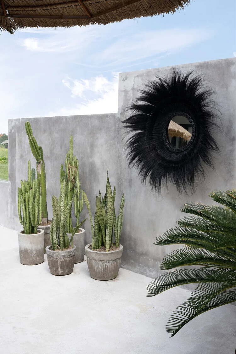 Bazar Bizar Le Miroir Sunken Forest - Noir