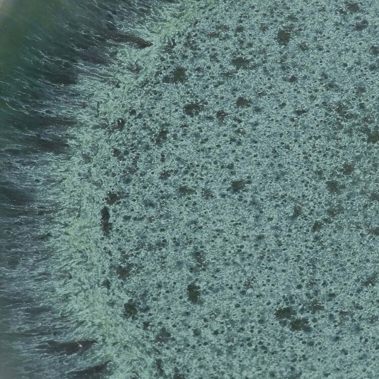 Bazar Bizar El Plato De Cena Aqua