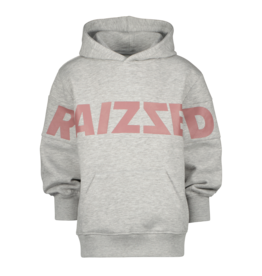 Raizzed Sweater Raizzed NEWARK light grey melee