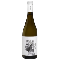 Teanum Favugne Falanghina